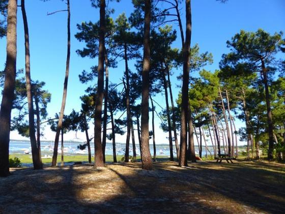 Maison océane proche plage Villa Ares Esterno foto
